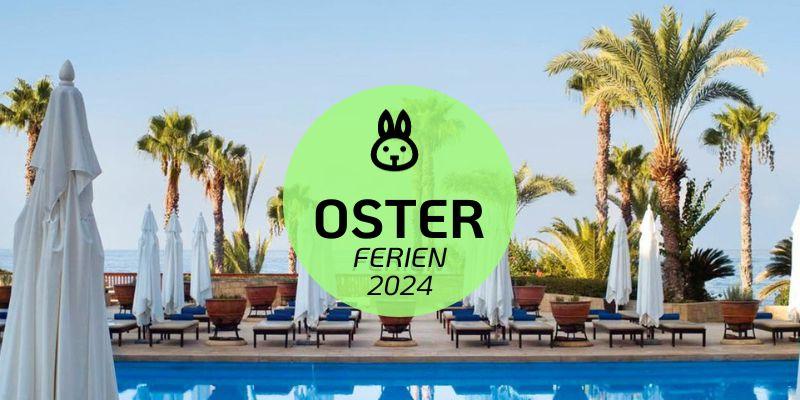 Annabelle Zypern Pool mit Palme